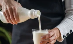 Антон Поляков и Маргарита Королёва объясняют, почему кефир полезен на ночь anton polyakov i margarita korolyova obyasnyayut pochemu kefir polezen na noch-fabrec-ru-174784718700-0