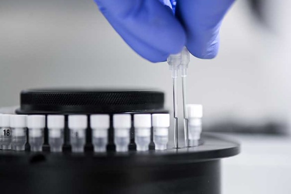 Фото: Felix Kastle / dpa / www.globallookpress.com