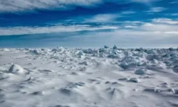 Ассоциация полярников (АСПОЛ) и Михаил Слипенчук приглашают на День полярника 2025 assocziacziya polyarnikov aspol i mihail slipenchuk priglashayut na den polyarnika 2025-fabrec-ru-174732161800-0