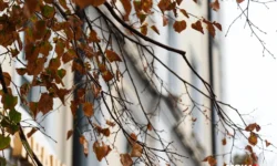 Фобос обещает скорое потепление в столице к концу мая fobos obeshhaet skoroe poteplenie v stolicze k konczu maya-fabrec-ru-174632662100-0