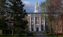 Гарвардский университет и Алан Гарбер обсуждают администрацию Трампа и Линду Макмэн garvardskij universitet i alan garber obsuzhdayut administracziyu trampa i lindu makmen-fabrec-ru-174652122900-0