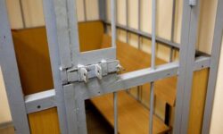 gsu sk rossii v sanktpeterburge dobivaetsya aresta podozrevaemoj v rezonansnom ubijstve-fabrec-ru-174618929300-0