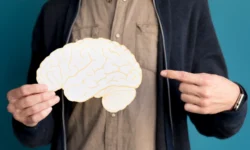 Институт неврологии Sainsbury Wellcome Centre объяснил механизм формирования привычек institut nevrologii obyasnil mehanizm formirovaniya privychek-fabrec-ru-174757722600-0