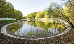 Москва обновляет Лианозовские пруды и район Марьино с участием Петра Бирюкова и Сергея Собянина moskva obnovlyaet lianozovskie prudy i rajon marino s uchastiem petra biryukova i sergeya sobyanina-fabrec-ru-174749915900-0