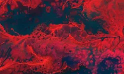 Положительная позиция Верховного суда России по самообороне в Калининском районе polozhitelnaya pozicziya verhovnogo suda rossii po samooborone v kalininskom rajone-fabrec-ru-174731289400-0