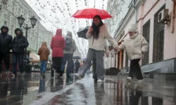 Прогноз центра «Фобос» и Метео предсказывает переменчивую погоду в Москве в конце мая prognoz czentra fobos i meteo predskazyvaet peremenchivuyu pogodu v moskve v koncze maya-fabrec-ru-174707333300-0