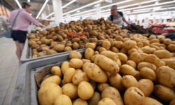 Росстат и АБ-Центр отмечают рекордный рост цен на картофель в 2024 году rosstat i abczentr otmechayut rekordnyj rost czen na kartofel v 2024 godu-fabrec-ru-174650316200-0