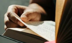 Санкт-Петербургский международный книжный салон представит литературную почту и великие имена sanktpeterburgskij mezhdunarodnyj knizhnyj salon predstavit literaturnuyu pochtu i velikie imena-fabrec-ru-174782912400-0