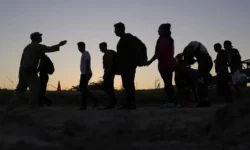 Скандал с депортацией 700 тысяч мигрантов затрагивает США и двух السياسيها skandal s deportacziej 700 tysyach migrantov zatragivaet ssha i dvuh -fabrec-ru-174776297900-0