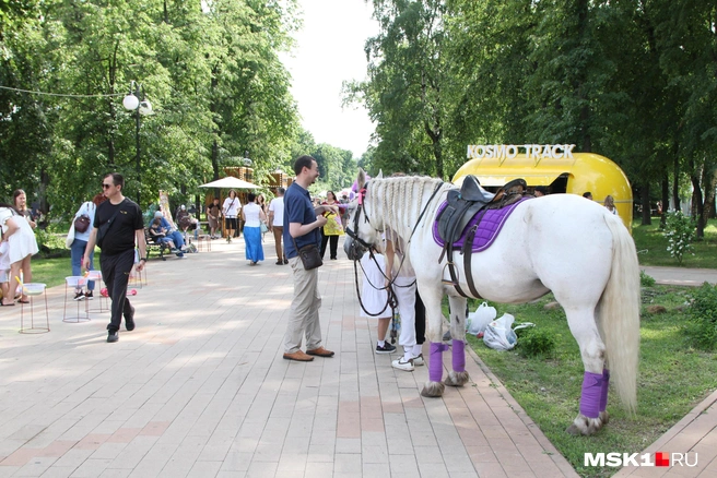Акулова предлагает назначить крупный штраф за конные прогулки | Источник: Татьяна Спиридонова / MSK1.RU