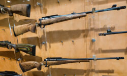 v volokolamske zaderzhan opasnyj prestupnik s oruzhiem blagodarya gsu sk-fabrec-ru-174644425200-0