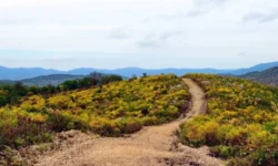 В Земле леопарда вновь открыт экомаршрут Семиверстка LeoRun 2025 v zemle leoparda vnov otkryt ekomarshrut semiverstka 2025-fabrec-ru-174853643200-0