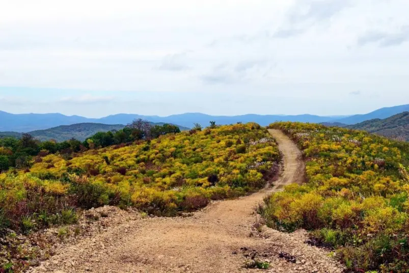 Экомаршрут Нацпарк "Земля леопарда"