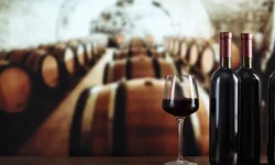 Винный рынок России развивается, Италия и Грузия в топе, «Абрау-Дюрсо» мирового уровня vinnyj rynok rossii razvivaetsya italiya i gruziya v tope abraudyurso mirovogo urovnya-fabrec-ru-174809299100-0