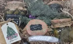 Анита Цой поразила Лолиту и Сергея Цоя душевным празднованием Нового года anita czoj porazila lolitu i sergeya czoya dushevnym prazdnovaniem novogo goda-fabrec-ru-174875092500-0