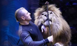 Аскольд и Эдгард Запашные о здоровье Олега Зубкова из парка «Тайган» в Крыму askold i edgard zapashnye o zdorove olega zubkova iz parka tajgan v krymu-fabrec-ru-0