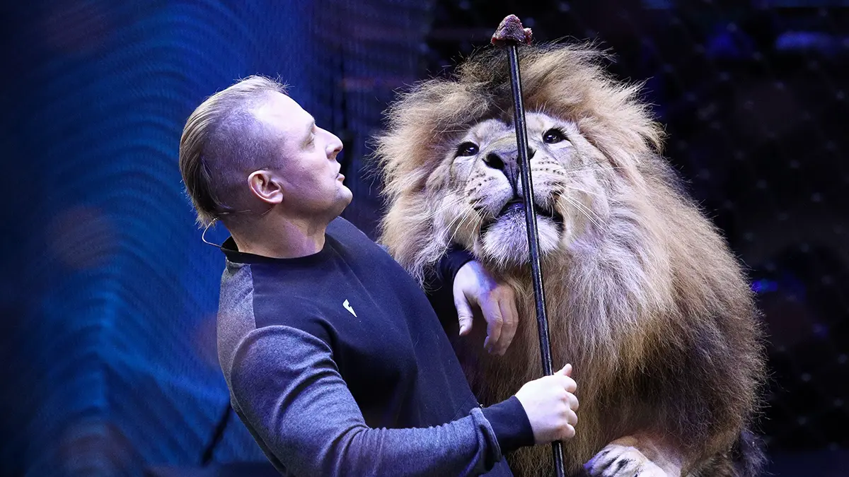 Запашный прокомментировал нападение льва на главу парка «Тайган» Зубкова