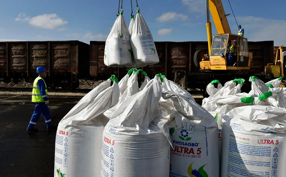 Фасовки минеральных удобрений дистрибуционно-логистического центра группы ФосАгро в Брянской области (Владимир Горовых / ТАСС)