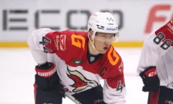 damir sharipzyanov i nikita serebryakov prodolzhayut igrat za avangard-fabrec-ru-174885877900-0