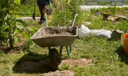 День Василиска и Соловья 4 июня в жизни Павла, Федора и Софьи den vasiliska i solovya 4 iyunya v zhizni pavla fedora i sofi-fabrec-ru-174872550700-0