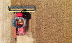 Эксперты Минсельхоза, Совэкона и Русагротранс обсуждают экспорт пшеницы eksperty minselhoza sovekona i rusagrotrans obsuzhdayut eksport psheniczy-fabrec-ru-0