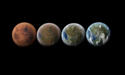 Эрика ДеБенедиктис и SpaceX представили прорывной план для Марса erika debenediktis i predstavili proryvnoj plan dlya marsa-fabrec-ru-174886359200-0