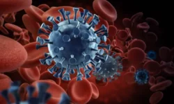 Инновации Артема Шабанова и команды НИЯУ МИФИ и Первого медуниверситета в лечении заболеваний innovaczii artema shabanova i komandy niyau mifi i pervogo meduniversiteta v lechenii zabolevanij-fabrec-ru-0