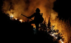 Исследование Университета Колорадо в Боулдере о влиянии пожаров на воду issledovanie universiteta kolorado v bouldere o vliyanii pozharov na vodu-fabrec-ru-0