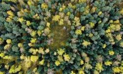 Паломничество к святыням Преподобного Серафима Саровского в Нижегородской области palomnichestvo k svyatynyam prepodobnogo serafima sarovskogo v nizhegorodskoj oblasti-fabrec-ru-0