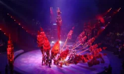 Проект Вадима Грекова преобразит облик Большого Московского цирка proekt vadima grekova preobrazit oblik bolshogo moskovskogo czirka-fabrec-ru-0