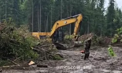 Александр Бастрыкин активно контролирует ситуацию в Рузском округе Подмосковья aleksandr bastrykin aktivno kontroliruet situacziyu v ruzskom okruge podmoskovya-fabrec-ru-0