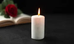 Алексей Новицкий и театр "Сфера" как источники вдохновения артиста aleksej noviczkij i teatr sfera kak istochniki vdohnoveniya artista-fabrec-ru-0