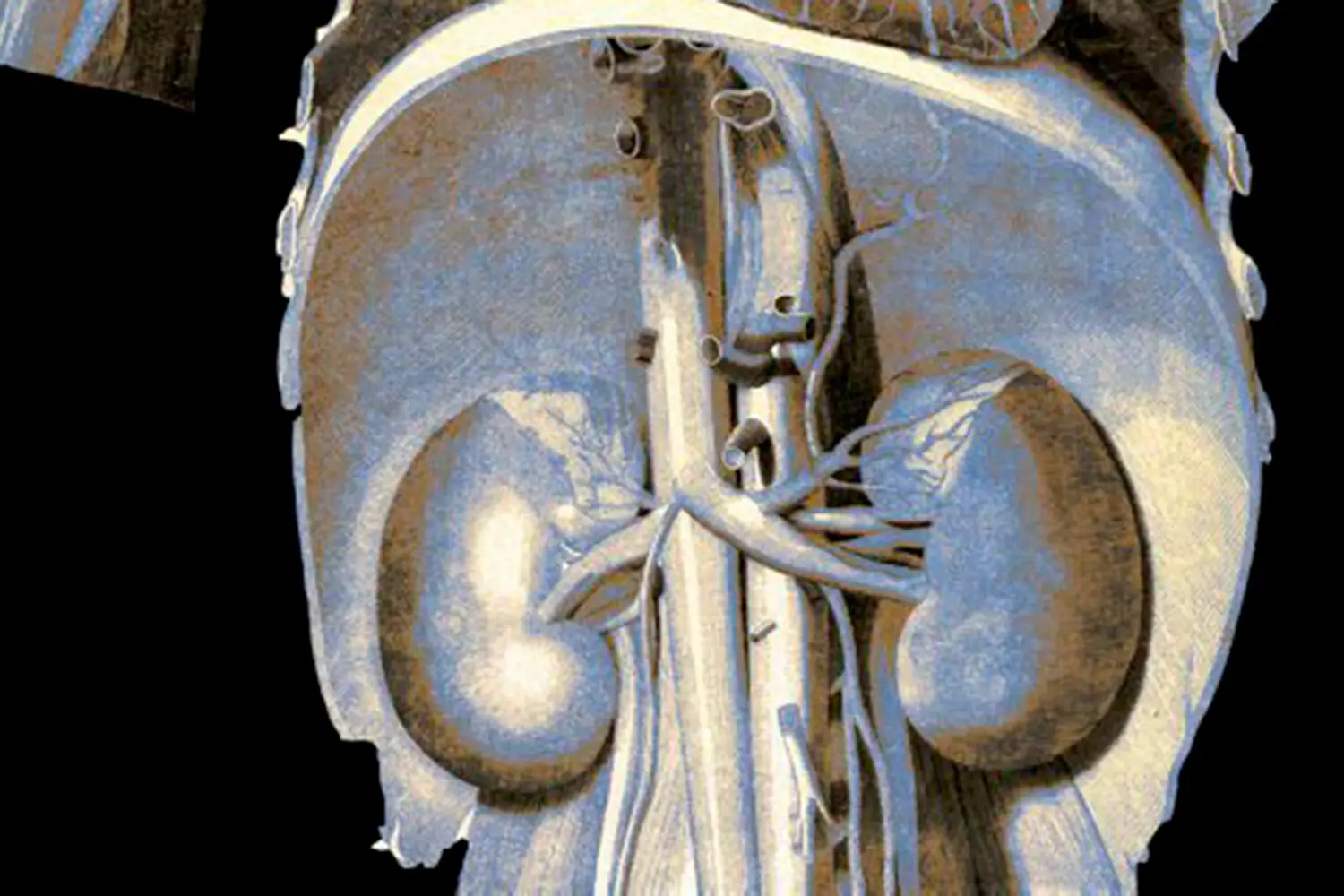 Андре Гемер из Рурского университета исследует влияние рибавирина на гепатит E-0