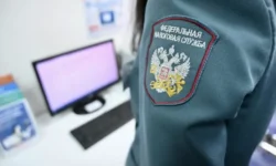 Аспекты ответственности за поддельные счета-фактуры в Уголовном кодексе РФ и роль Федеральной налоговой службы aspekty otvetstvennosti za poddelnye schetafaktury v ugolovnom kodekse rf i rol federalnoj nalogovoj sluzhby-fabrec-ru-0