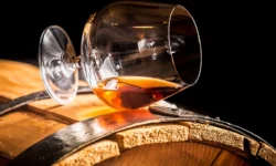 Геворг Папоян подтвердил лабораторное качество армянского коньяка gevorg papoyan podtverdil laboratornoe kachestvo armyanskogo konyaka-fabrec-ru-0