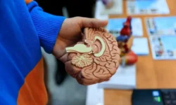 Гимназия № 1 Владивостока и проект "Ступени" открывают новые возможности gimnaziya 1 vladivostoka i proekt stupeni otkryvayut novye vozmozhnosti-fabrec-ru-0