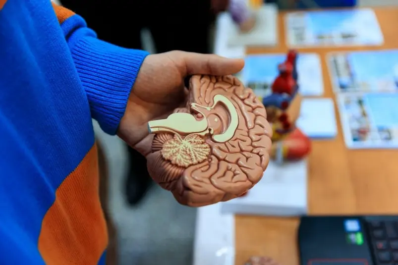 Ребятам предлагают гуманитарное и медицинское направления Евгений Кулешов, ИА PrimaMedia