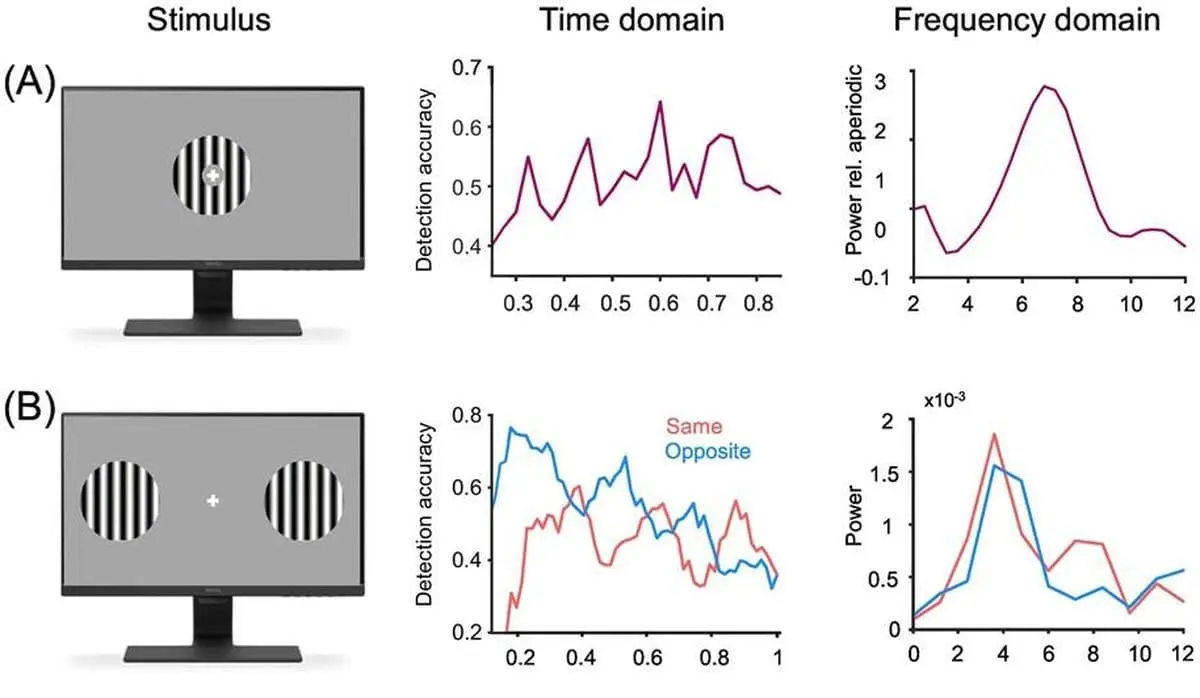 Исследование Еврейского университета в Иерусалиме о фокусе внимания-0