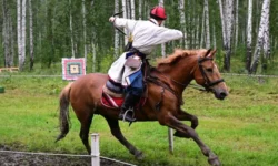 Летофест и Кубок дружбы народов в «Дубраве» подарят новые впечатления letofest i kubok druzhby narodov v dubrave podaryat novye vpechatleniya-fabrec-ru-0