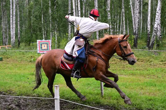 Летофест и Кубок дружбы народов в «Дубраве» подарят новые впечатления-0