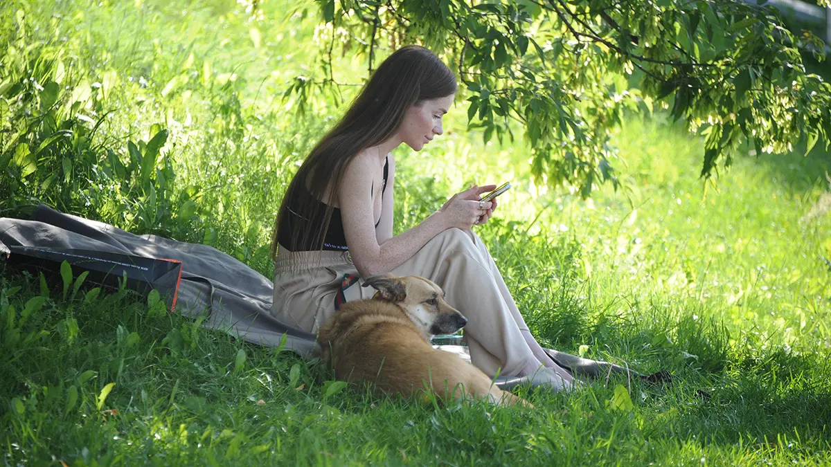 Погода в Москве в августе 2025