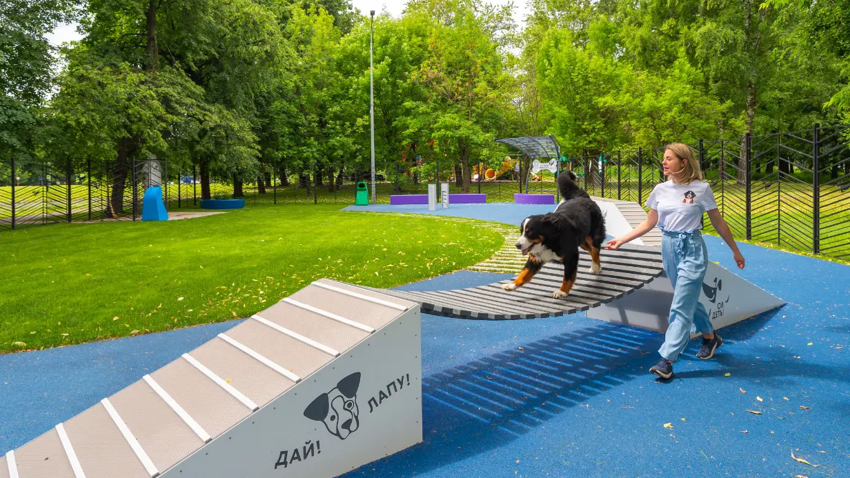 Сергунина: Москвичи предложат идеи по развитию инфраструктуры для домашних питомцев