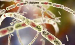 Оценка ситуации со вспышкой сибирской язвы в Воротынском округе от Виктора Краснова oczenka situaczii so vspyshkoj sibirskoj yazvy v vorotynskom okruge ot viktora krasnova-fabrec-ru-0