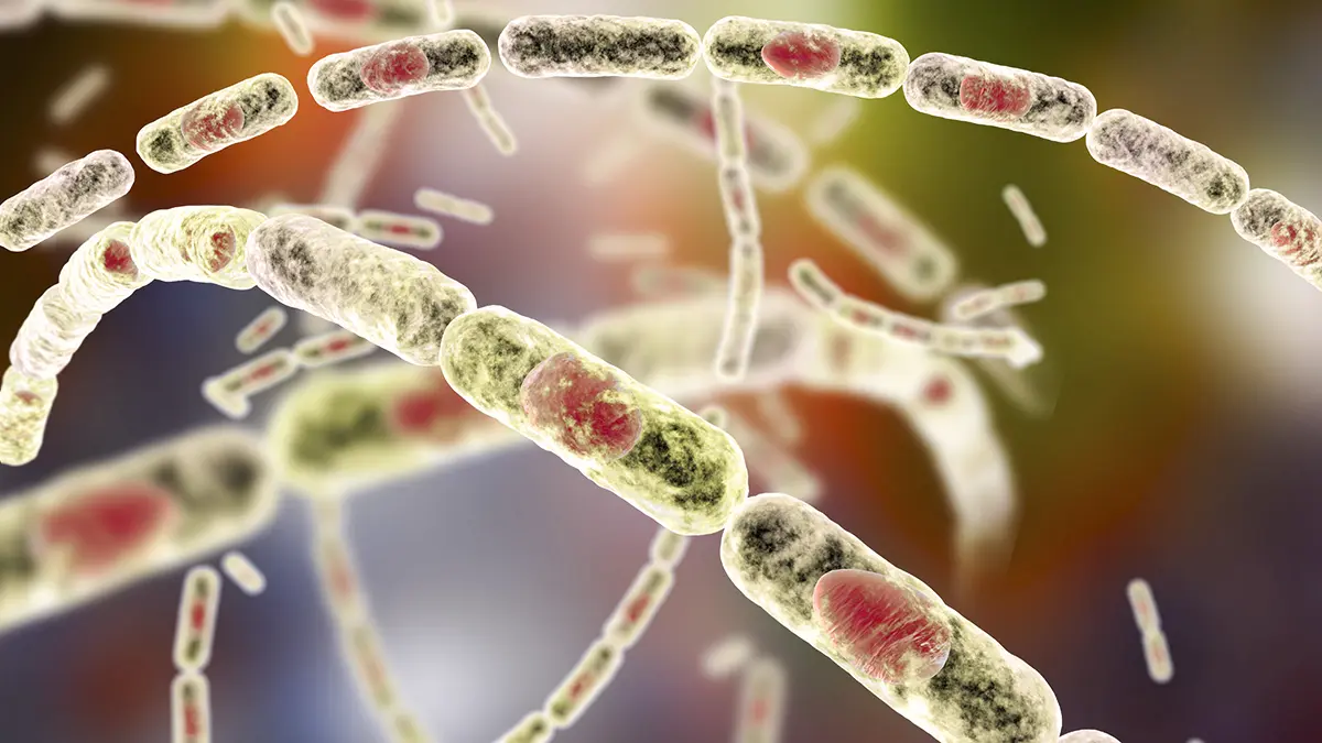 Зафиксирована вспышка сибирской язвы в Нижегородской области