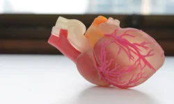 Прорыв в иммунотерапии рака от Университета Флиндерса для пациентов с трансплантацией proryv v immunoterapii raka ot universiteta flindersa dlya paczientov s transplantacziej-fabrec-ru-0