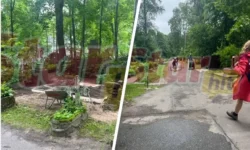 Роман Старовойт был похоронен на Смоленском православном кладбище в Москве roman starovojt byl pohoronen na smolenskom pravoslavnom kladbishhe v moskve-fabrec-ru-0