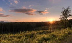 Ульянов день 4 июля предлагает традиции, советы и липу для счастья ulyanov den 4 iyulya predlagaet tradiczii sovety i lipu dlya schastya-fabrec-ru-0