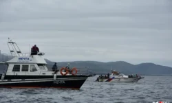 В Териберке можно увидеть горбатого кита этим летом в Мурманской области v teriberke mozhno uvidet gorbatogo kita etim letom v murmanskoj oblasti-fabrec-ru-0