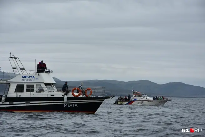 Сюда едут со всей страны, чтобы увидеть чудо природы — китов | Источник: Александра Балаба