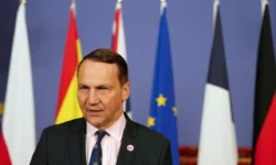 Владимир Зеленский и Радослав Сикорский борются за независимость НАБУ и САП между Польшей и Украиной vladimir zelenskij i radoslav sikorskij boryutsya za nezavisimost nabu i sap mezhdu polshej i ukrainoj-fabrec-ru-0